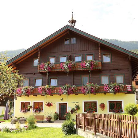 Haufhof-Pension Am Bauernhof, Haus Im Ennstal Bei Schladming 외부 사진