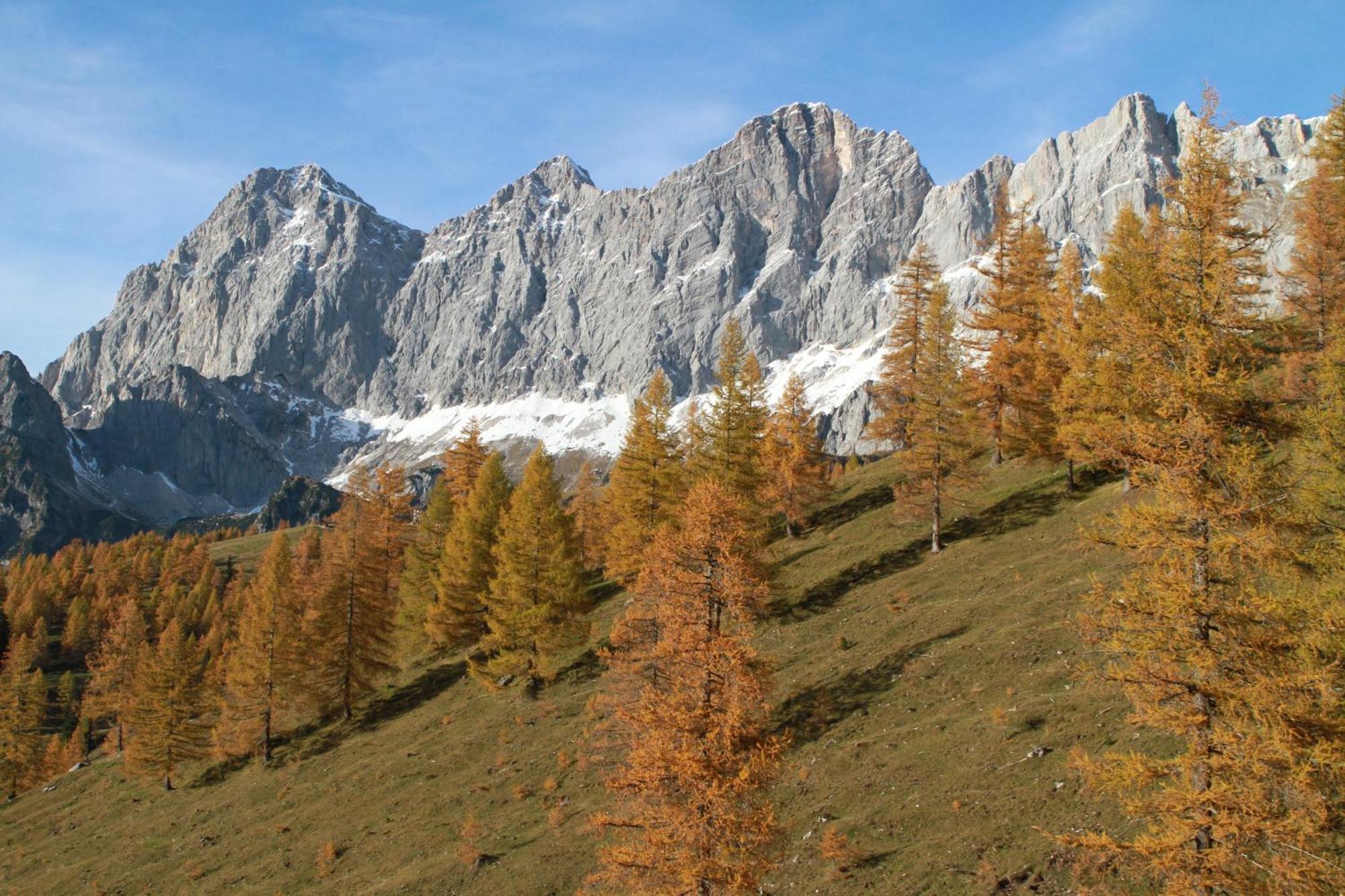 Haufhof-Pension Am Bauernhof, Haus Im Ennstal Bei Schladming 외부 사진